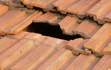 roof repair Long Marton, Cumbria